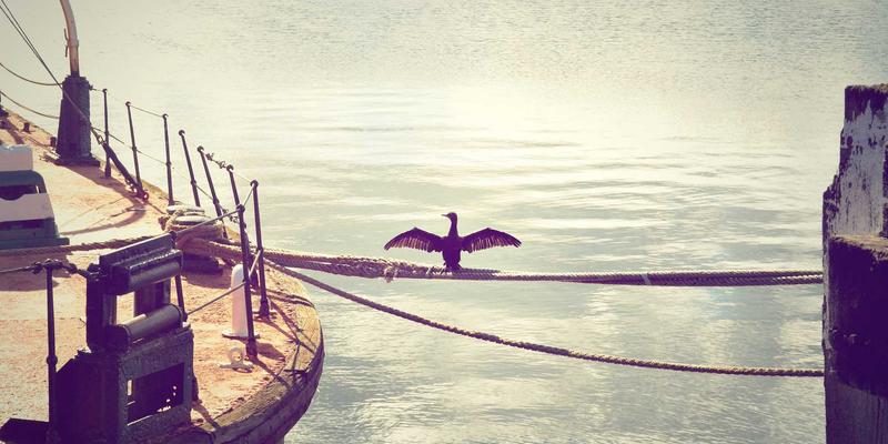 SS乔夫企业工装与西装定制理念延伸：如何打造可调节的高性价比儿童成长型服装？