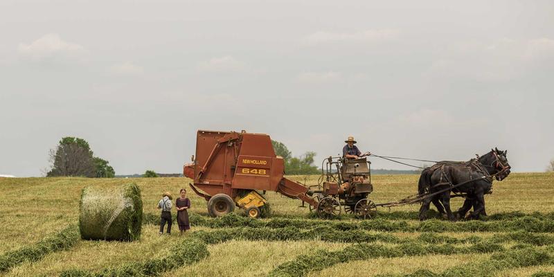 从企业工装到校园风尚：校服定制如何融合职业装美学与校园文化认同