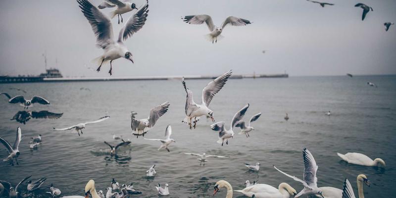 从量体裁衣到风格塑造：服装定制如何从基础服务进阶为个人职业形象战略