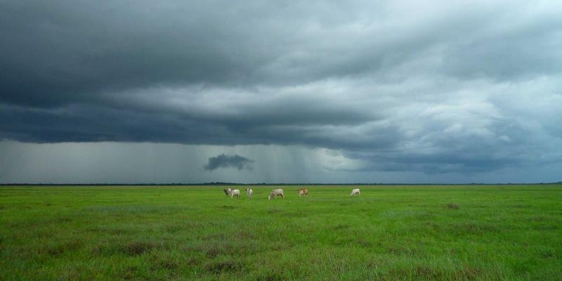 从零开始定制职业装：首次企业工装与西装定制必读的十大注意事项