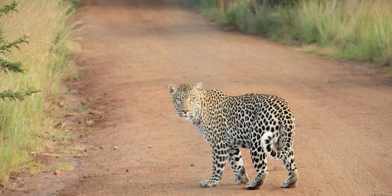 企业工装定制指南：刺绣、印花与热转印工艺的深度对比 | SS乔夫西装定制