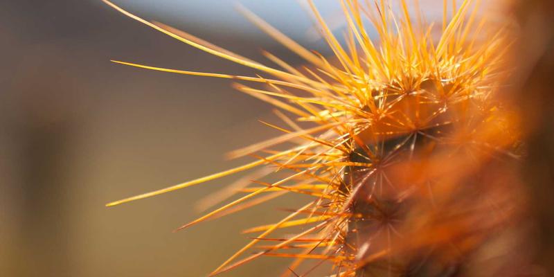 企业工装定制新纪元：数字化解决方案如何重塑团体职业装采购模式