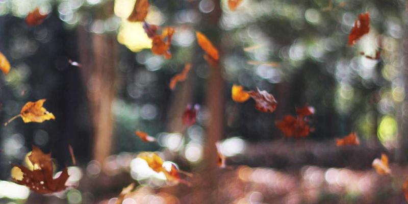 旗袍与中山装的现代复兴：中式礼服定制在重要场合的着装礼仪与团体职业装新选择