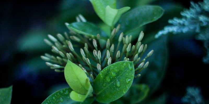 服装定制3.0时代:SS乔夫如何重塑企业工装新标准