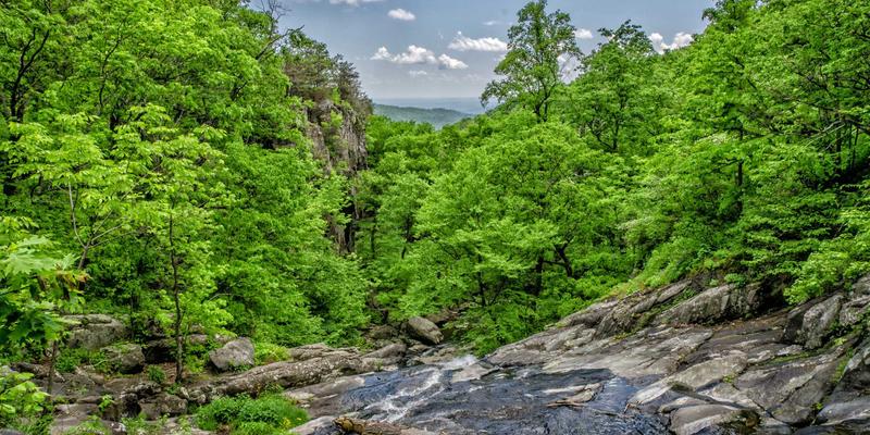 服装定制全攻略:从个人西装到团体职业装,SS乔夫定制服务详解
