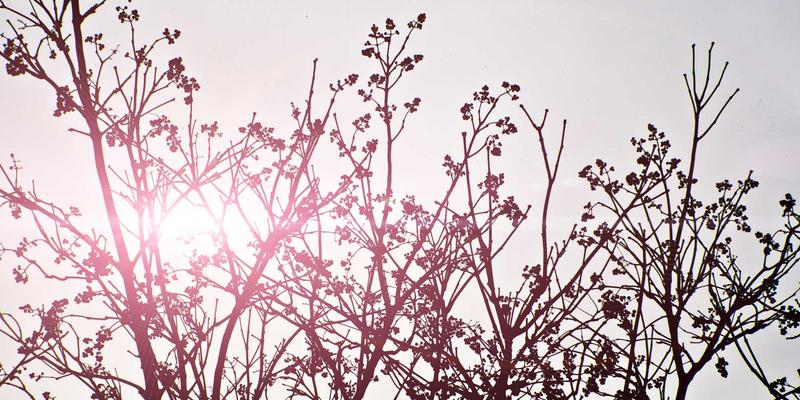 职业装定制新风尚：SS乔夫解析环保面料的选择与应用指南