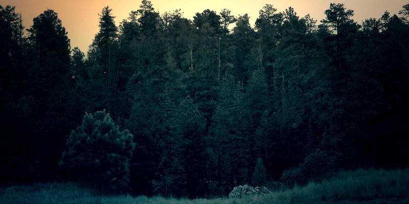 西装定制与衬衫定制如何选择？SS乔夫解析高端私人定制与大众化服务的核心区别